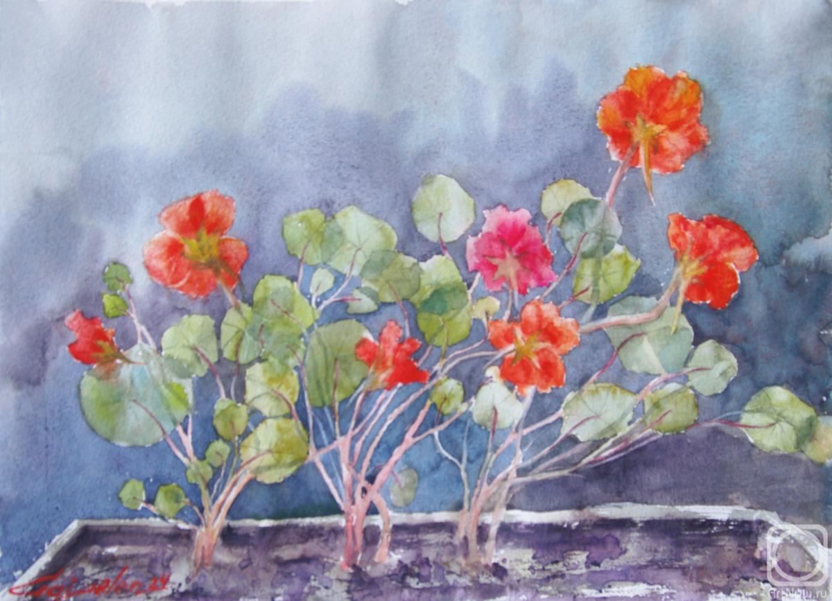 �������. ������������ �����. ����� ���������