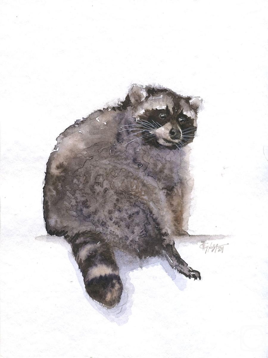 �������. ������ �������. ���� �����