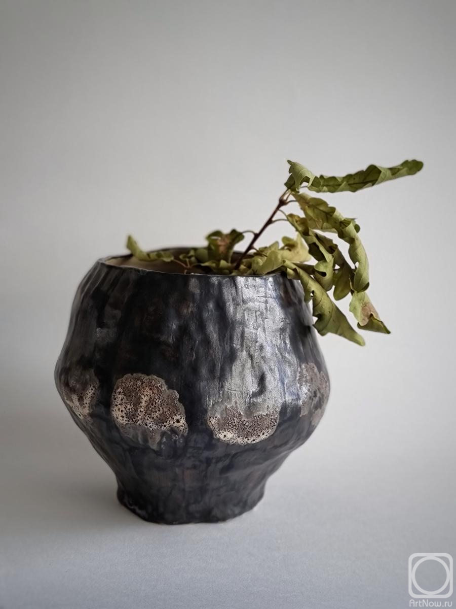 ����� �����. ���� ������ �����