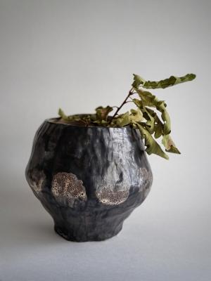 ���� ������ �����