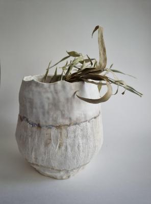 ���� ������ �����. ����� �����