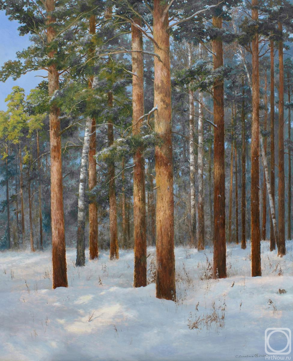 ������� ������ �� ������. �������� ������. ��������� ����� � ������ ����