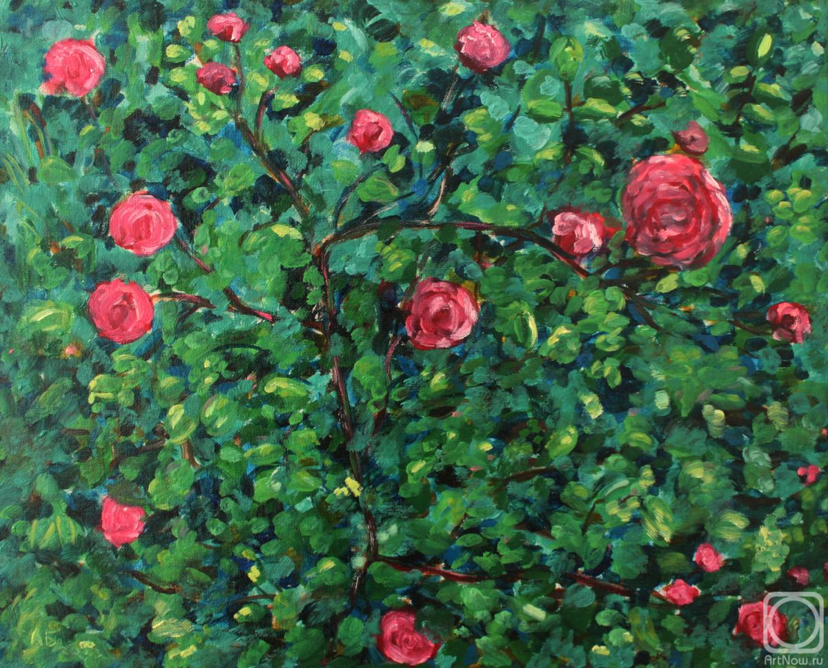 ������� ������ �� ������. ��������� �������. ������ ��� � ����