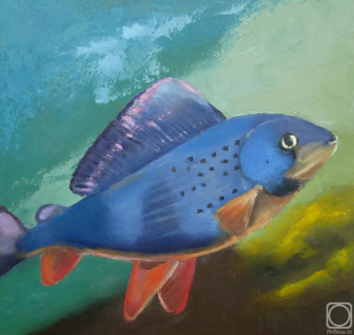 �������. �������� ���������. ������