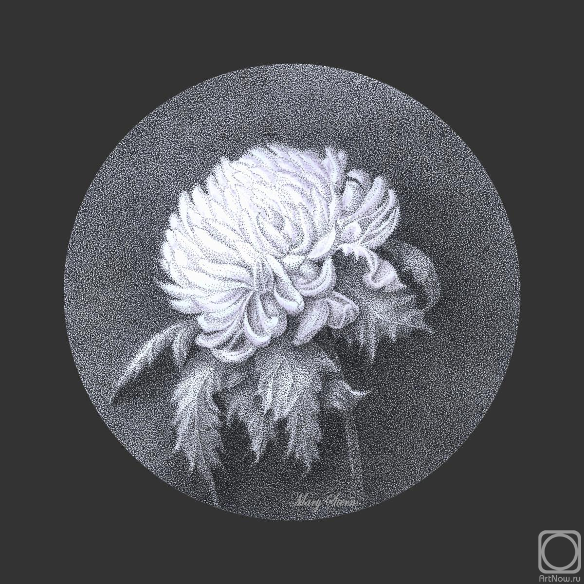 �������. ����������� ������. ����������