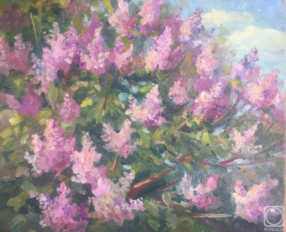 ������� ������ �� ������. ��������� ������. ������