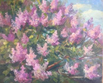 Lilac. Zolotuhin Sergey