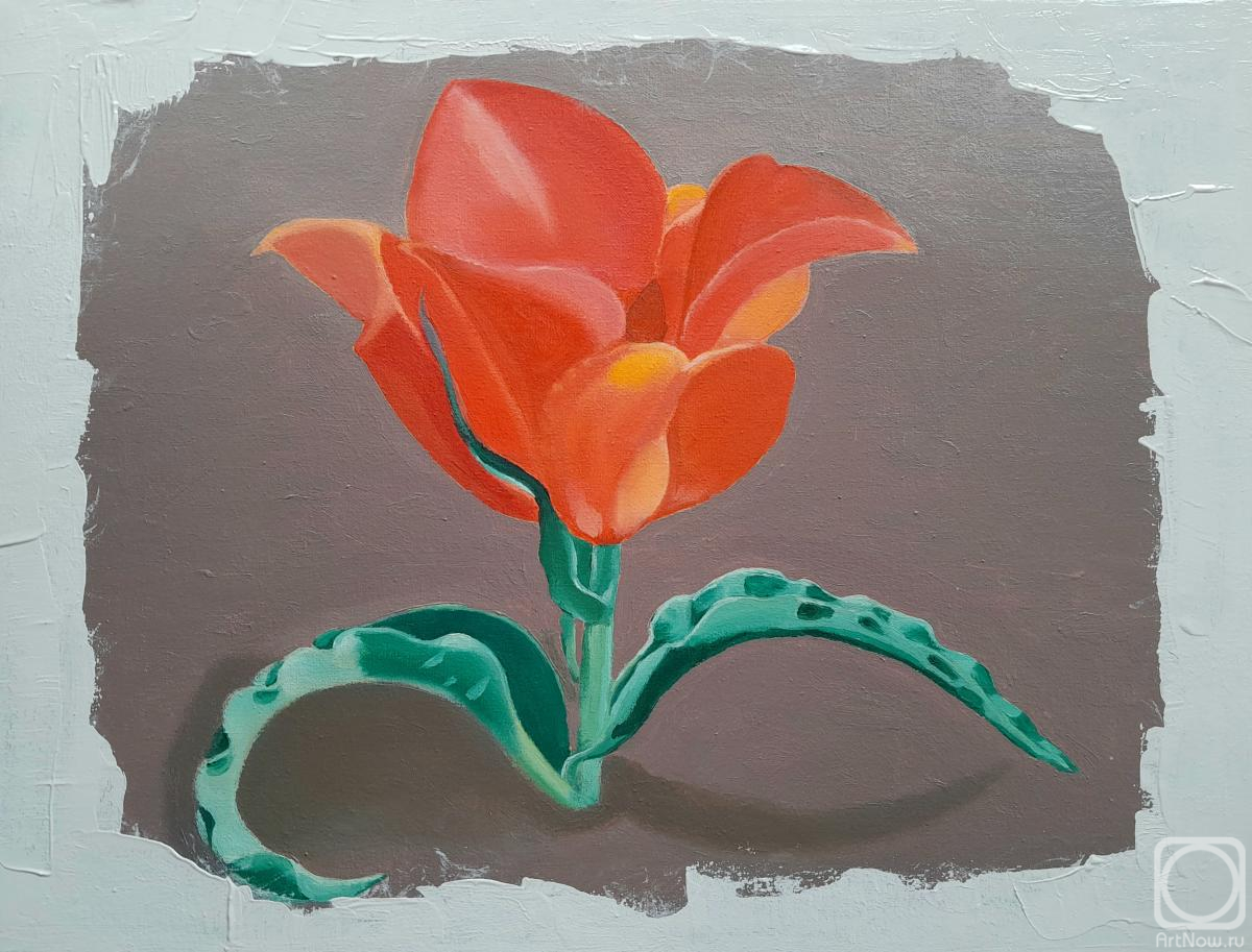 ������� ������ �� ������. �������� ���������. ������� ������ �������