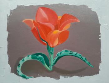 ������� �������� ������ ��������