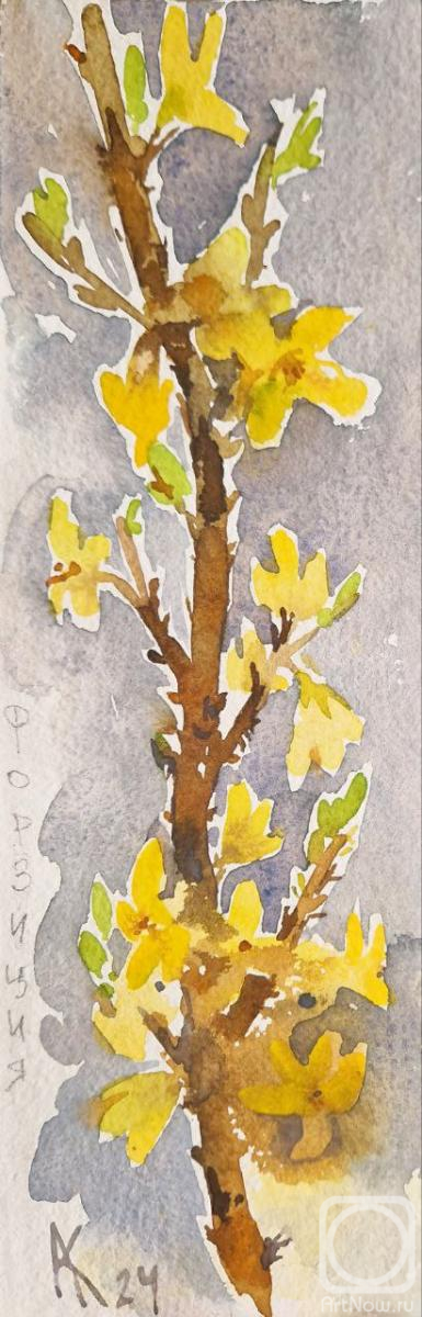 �������. ���������� ��������. ��������