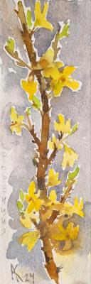 ������� ����������