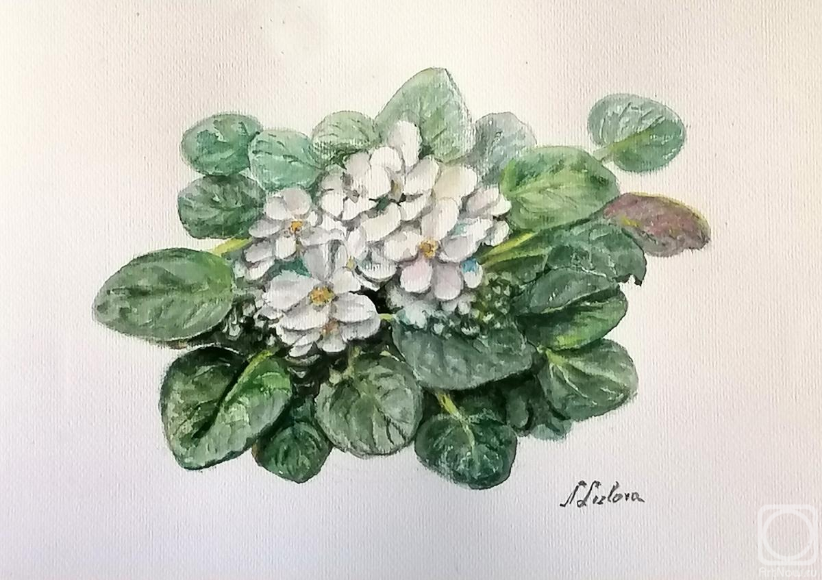 �������. ������� �������. �������� 2