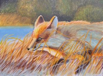 �����. �������� �����