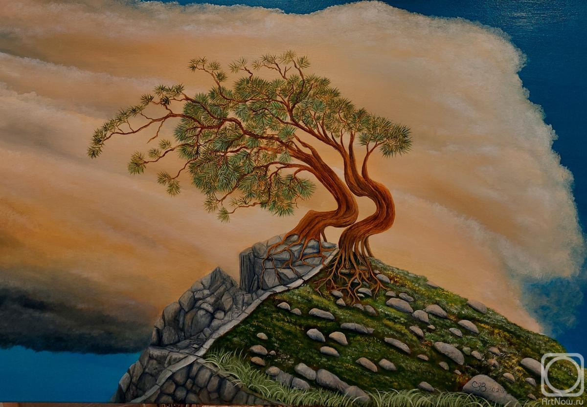 ������� ������ �� ������. ���������� �������. ����