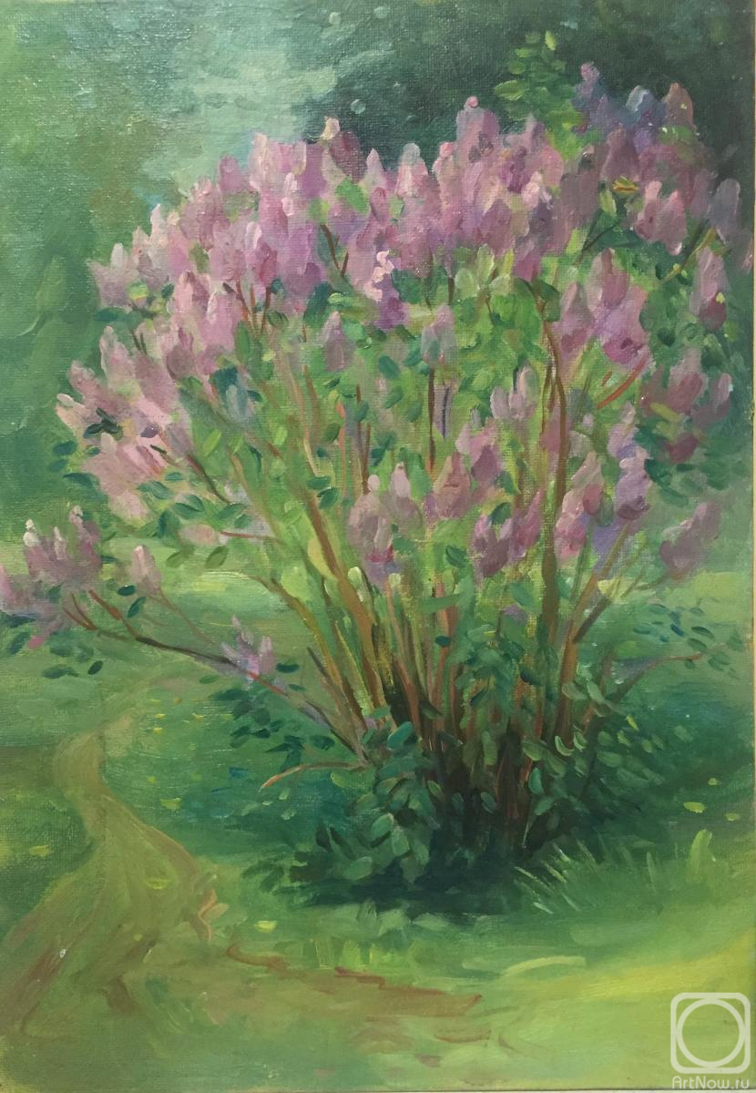 ������� ������ �� ������. ��������� ������. ���� ������