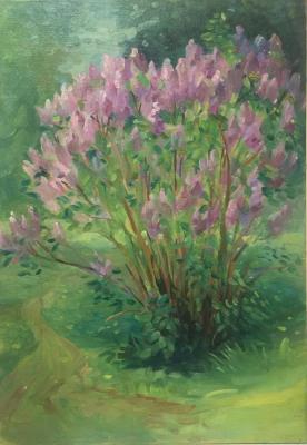 Lilac bush