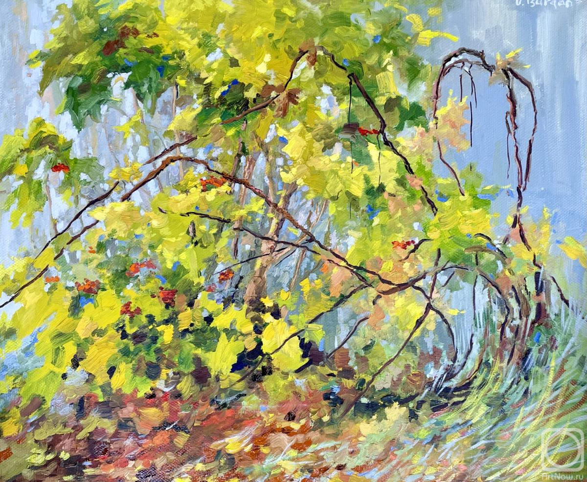 Tsurgan Olesya. Highbush Cranberry and grapevine. November