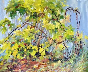 Highbush Cranberry and grapevine. November