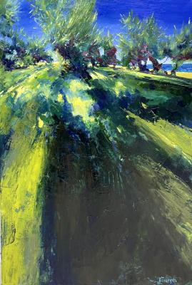 Golden Beach. Olives. Saving Shade