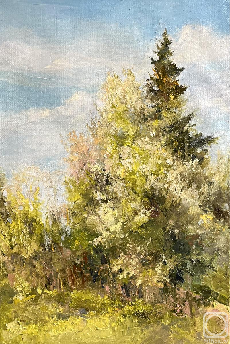 Tsurgan Olesya. Spring. April
