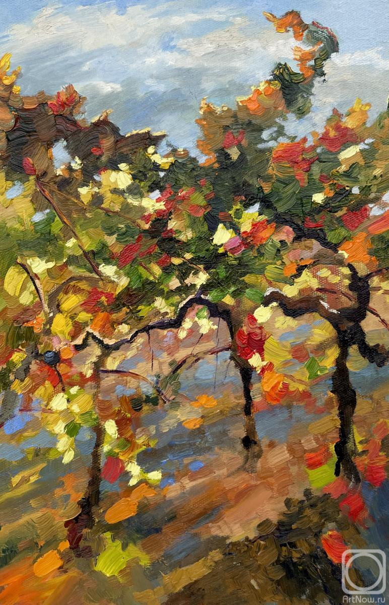 Tsurgan Olesya. Old Grapevine. November