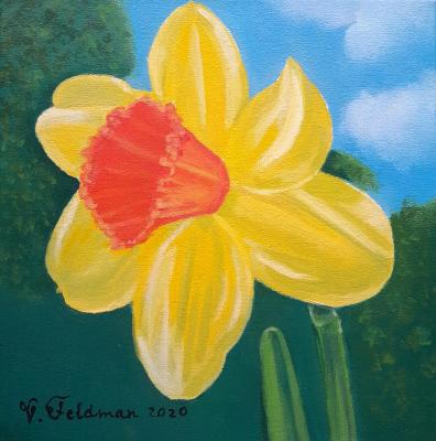 Yellow daffodil (Daffodil Painting). Feldman Valentina