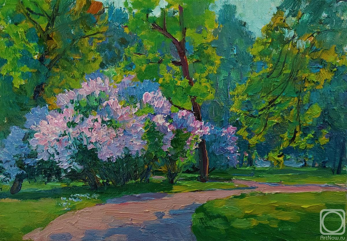 ������� ������ �� ������. ��������� ���������. ������� ���� � ��������� ����