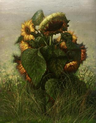 ������� �����������