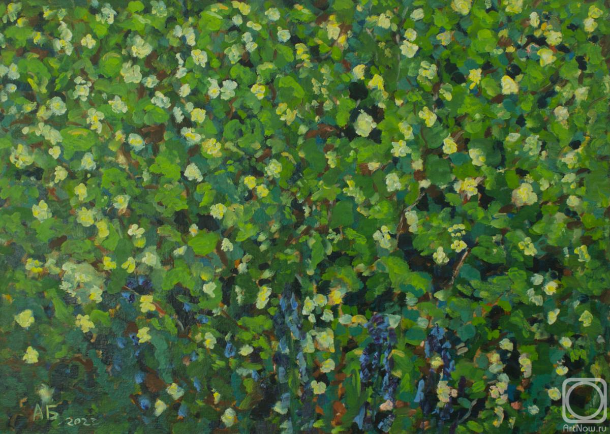 ������� ������ �� ������. ��������� �������. �����