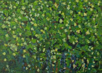 Blooms. Beregovoy Aleksey