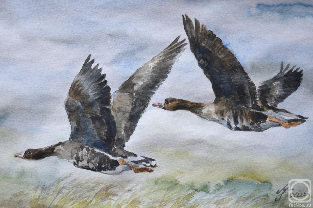 Ushakova Maria. Untitled