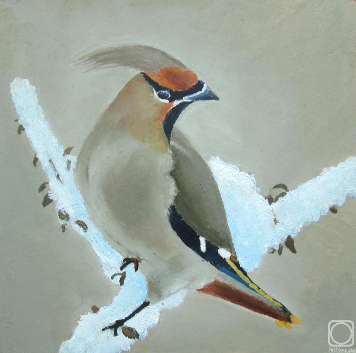 �������. �������� ���������. ����������