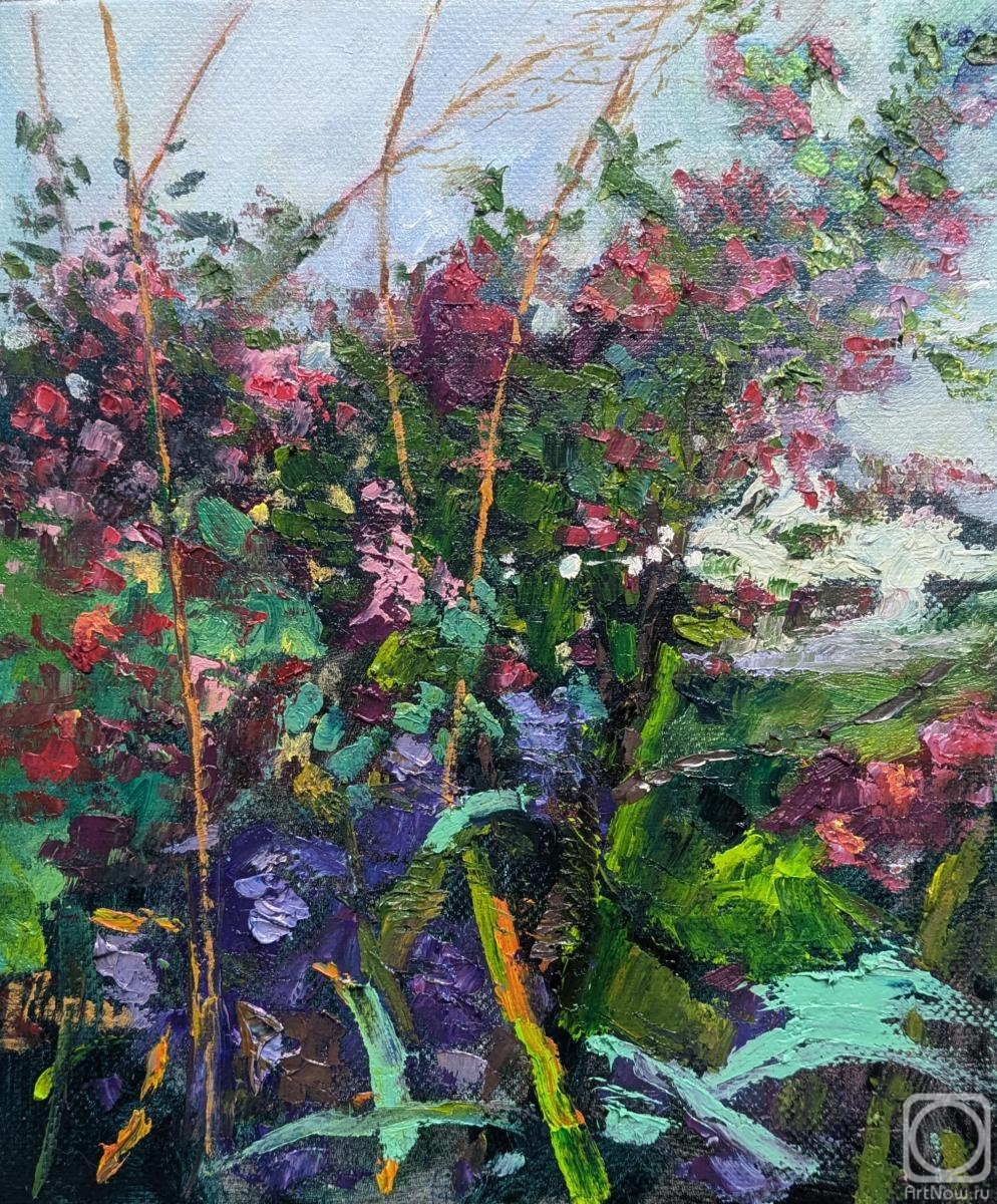 ������� ������ �� ������. ������ ���������. ������� �����