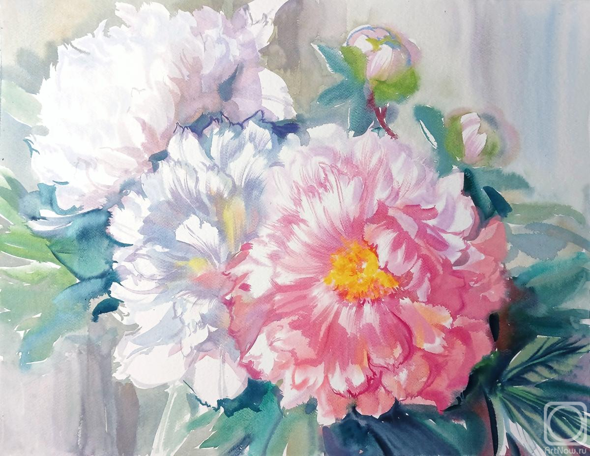 �������. ���������� ���������. �������� ������ ����