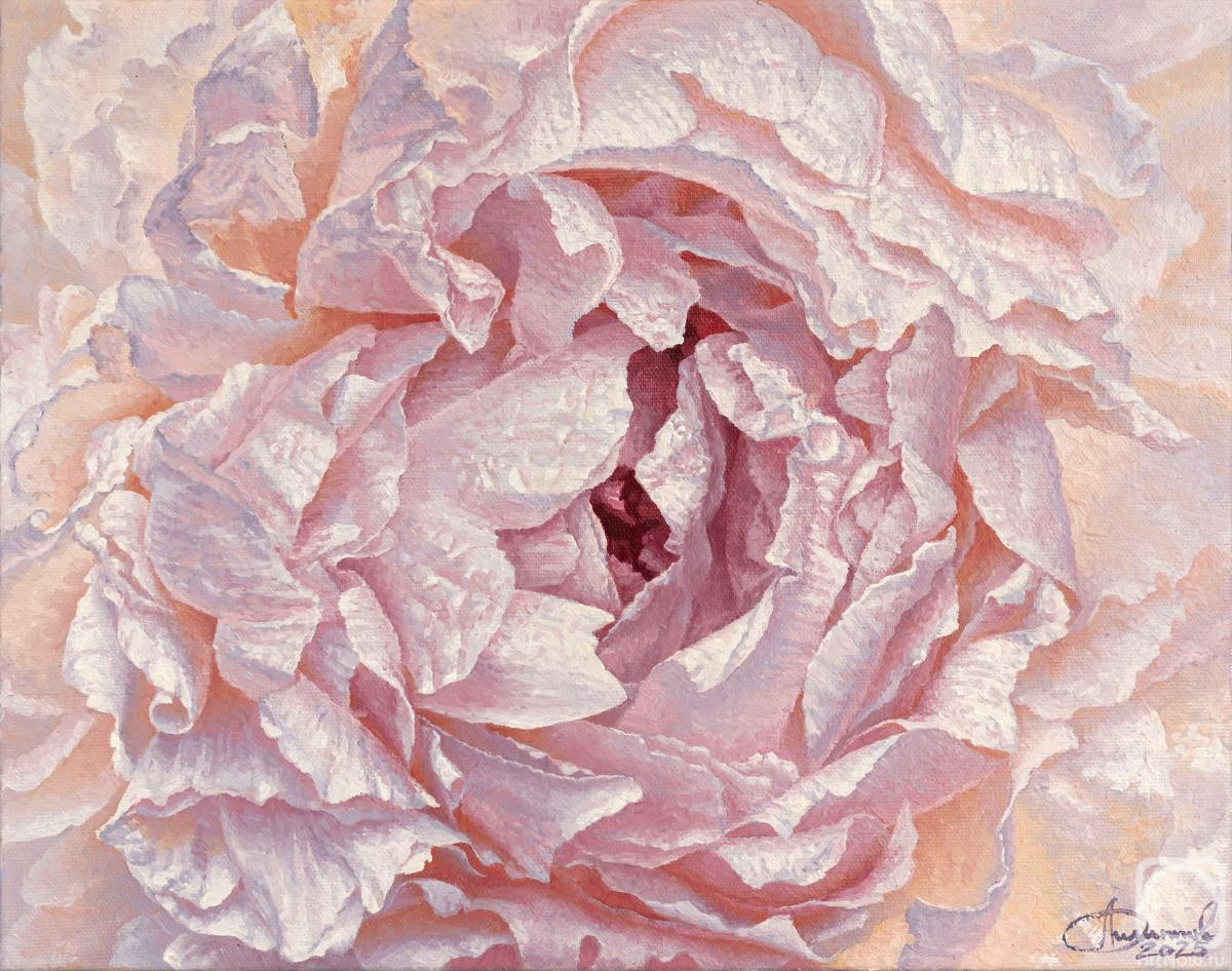 ������� ������ �� ������. �������� ���������. ����1