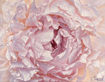 ������� �����1�