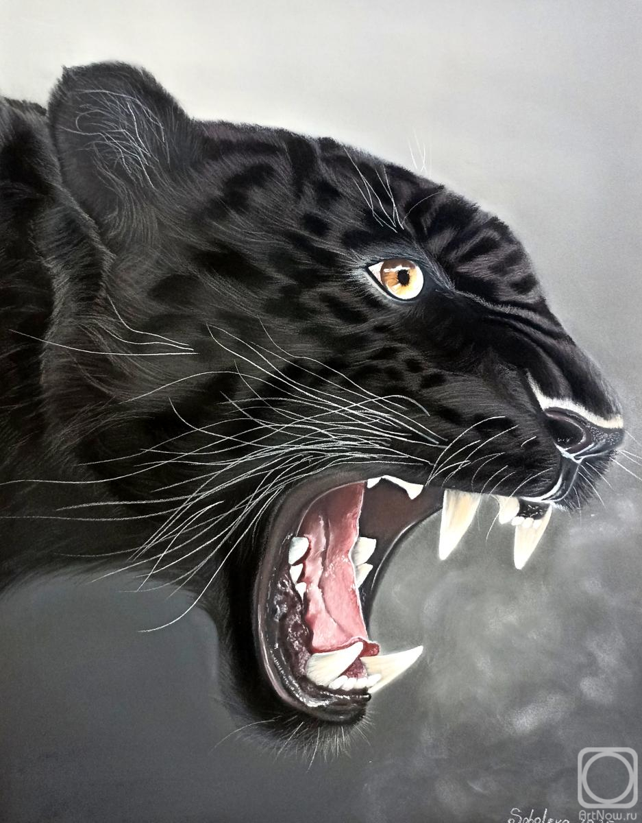 �������. �������� ���������. �������