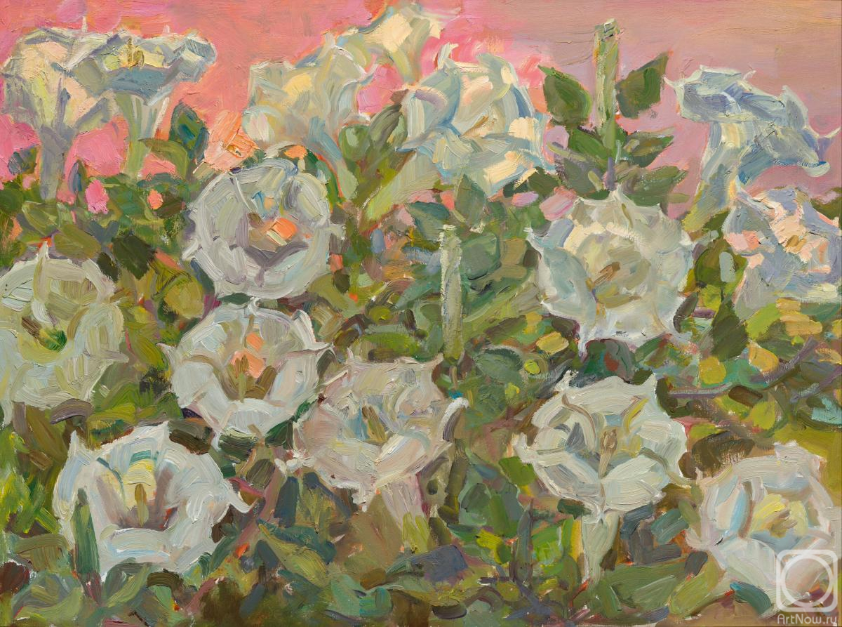 ������� ������ �� ������. �������� ������. �������� �������