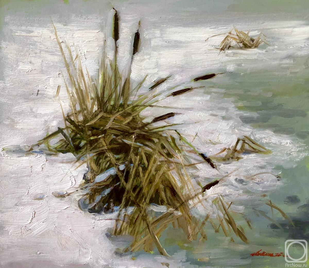 �������. ������-������� �����. ����������� ���������