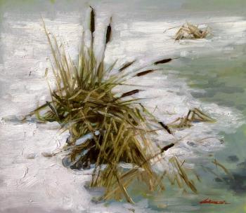 Февральские проталины. Рыбина-Егорова Алена