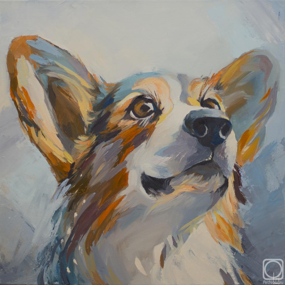 ������� ������ �� ������. �������� �����. �����