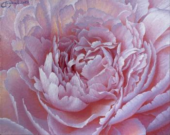 ������� �����2�