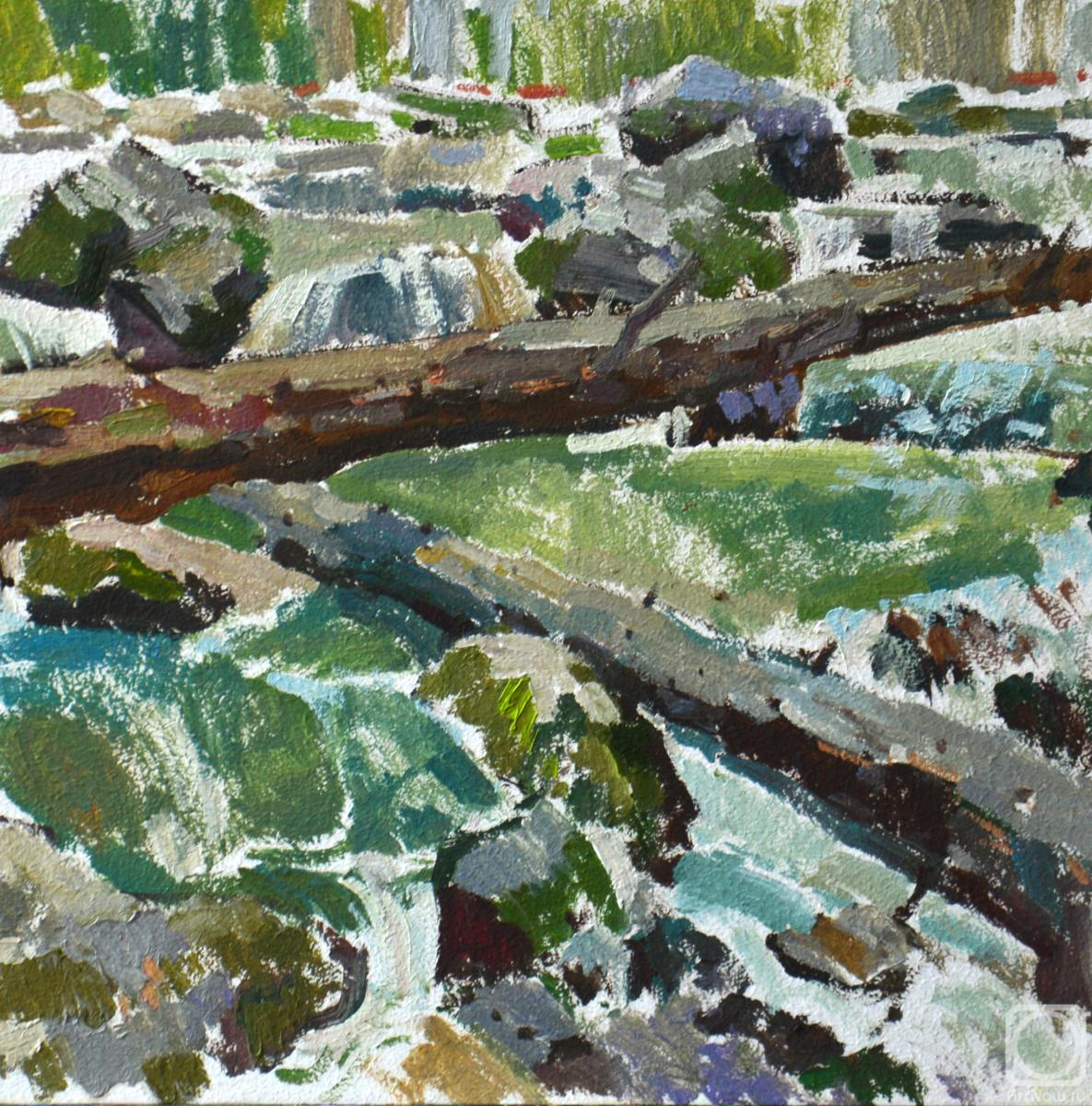 �������. ������ ������. �������