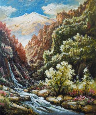 Morning in the mountains