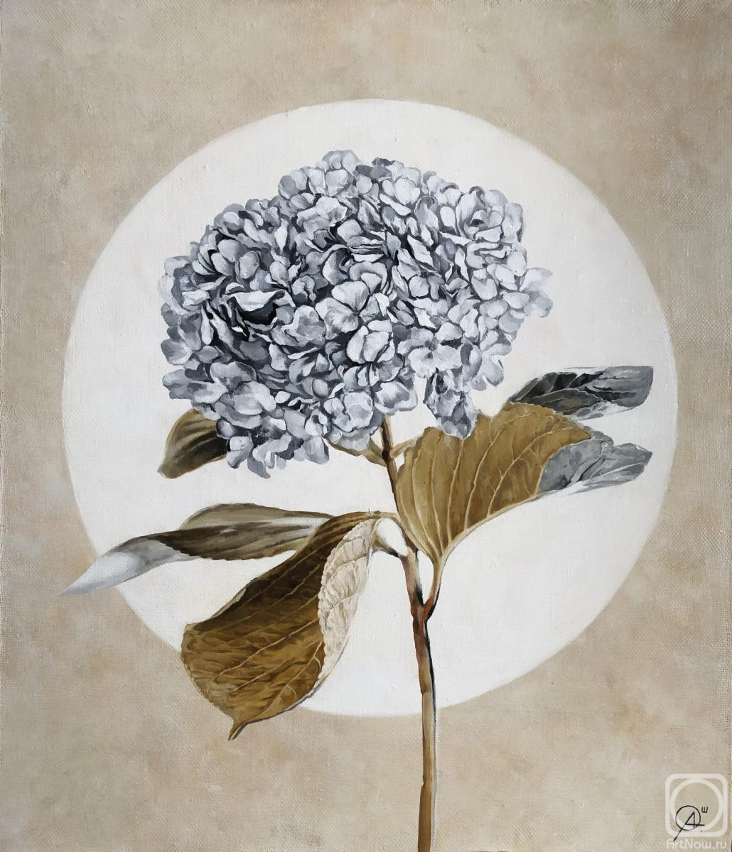 ������� ������ �� ������. ������ �����. ���������