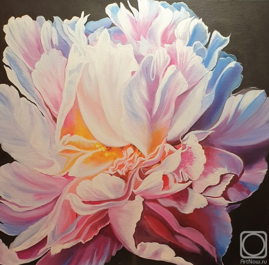 ������� ������ �� ������. ���������� ������. ����