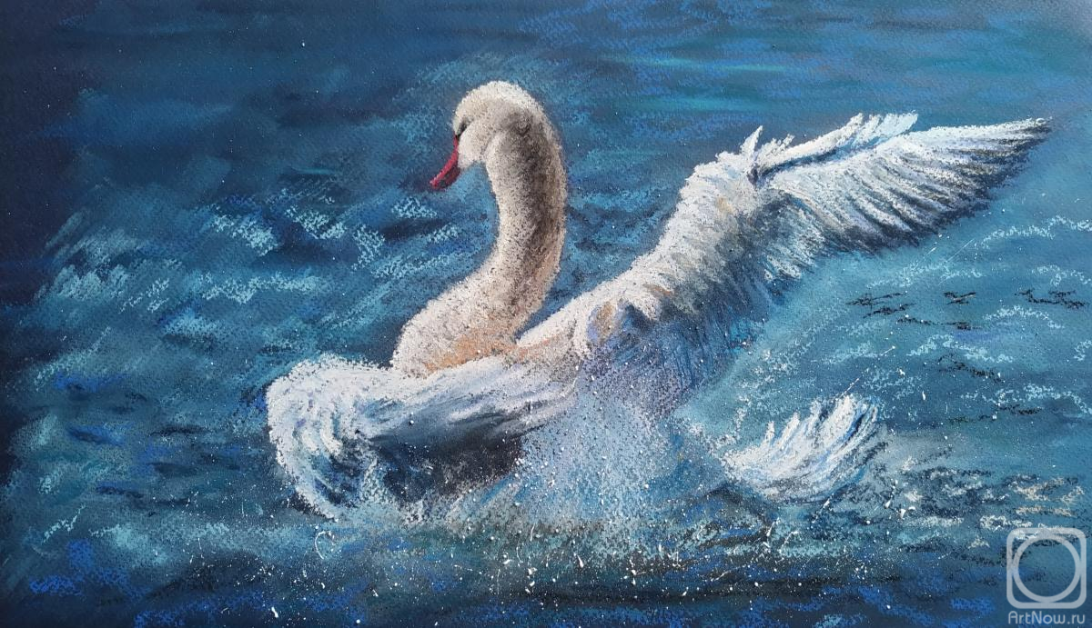 �������. ����������� ������. ����� �����