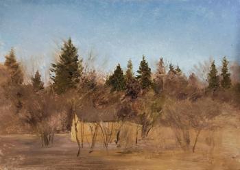 ������� ����������� ����. ������