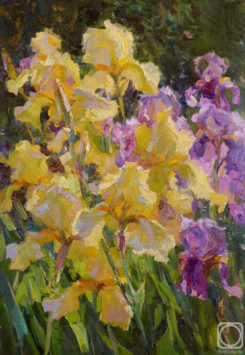 ������� ������ �� ������. ������� ����. �������� �����