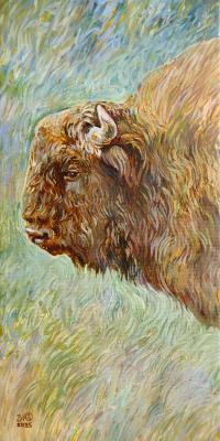 ����. ��������� ����